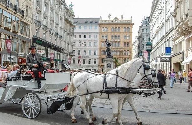 Full-Day Imperial Vienna Tour from Budapest with Hotel Pickup