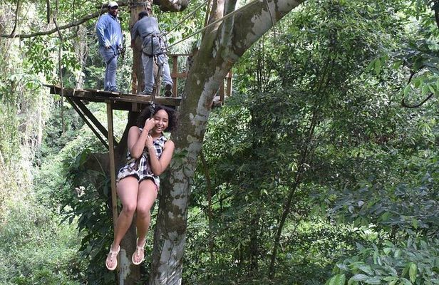 Zipline, Wildlife Park & Beach Jam-Packed Excursion