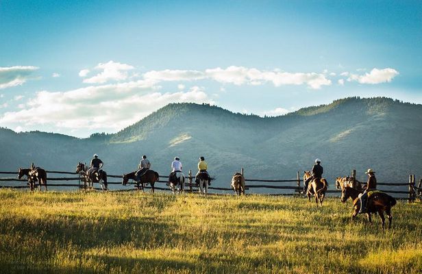 2 Hour Horseback Ride