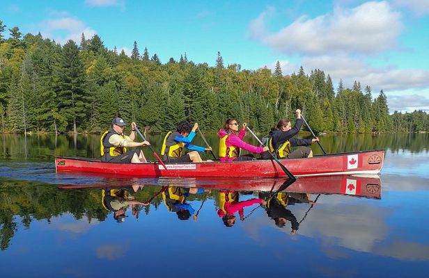 6 Hour Algonquin Park Canoe Trip