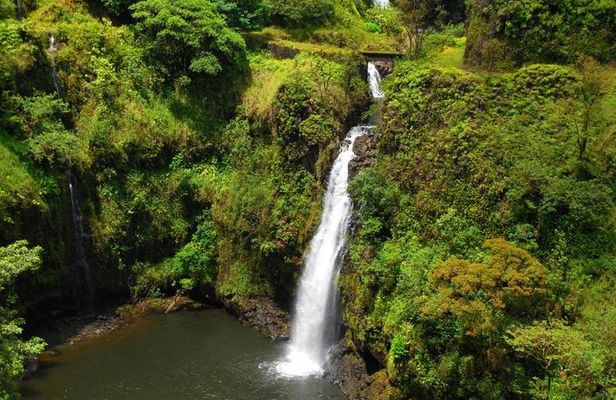 Road to Hana, Black Sand Beach, Waterfalls & Turtles Tour