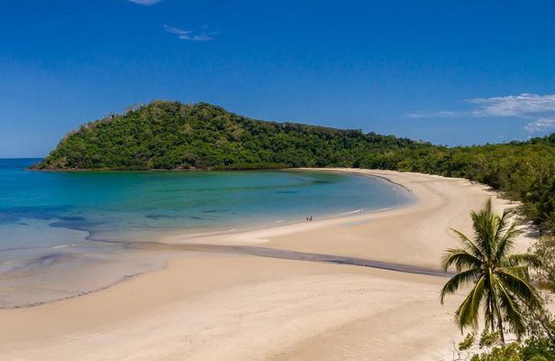 Daintree Rainforest and Cape Tribulation Day Tour from Cairns