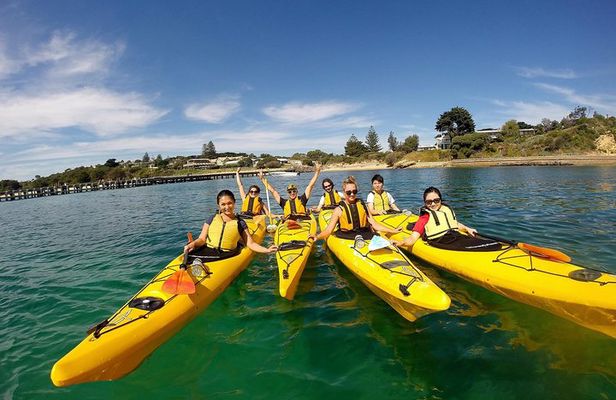 Mornington Peninsula Kayak Coastline Tour of Dolphin Sanctuary