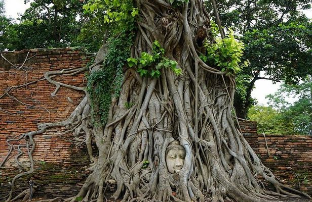 Discover UNESCO World Heritage Sites - Ayutthaya to Khao Yai National Park