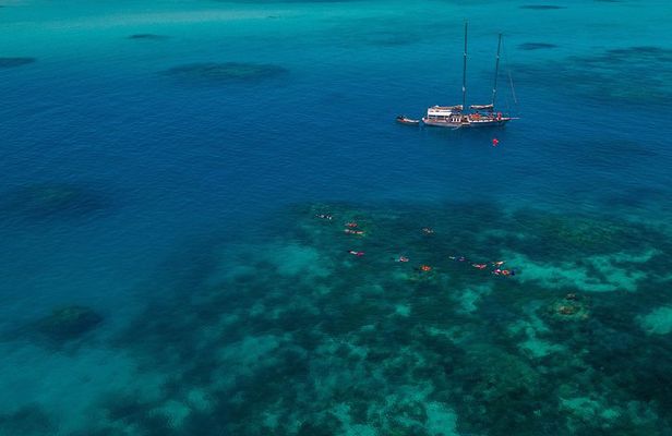 Ocean Free 25 guest Great Barrier Reef & visit Green Island Tour