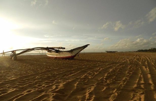 Negombo Day Tour