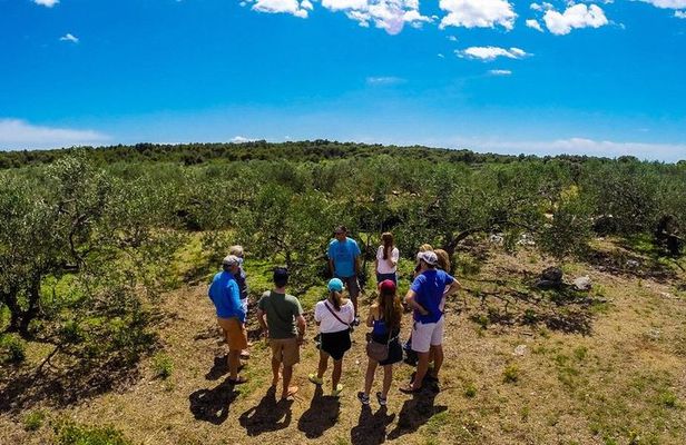 Olive Oil Tour of Solta Island with Lunch