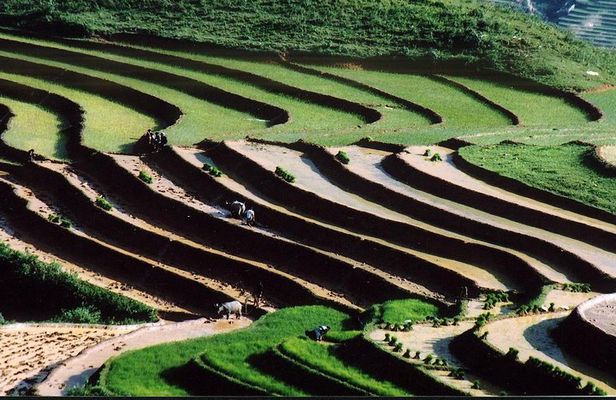 2-Days 3-Nights Sapa Trek with Night Train from Hanoi