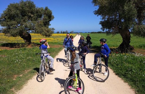 Private Bike Tour with Olive Oil Tasting