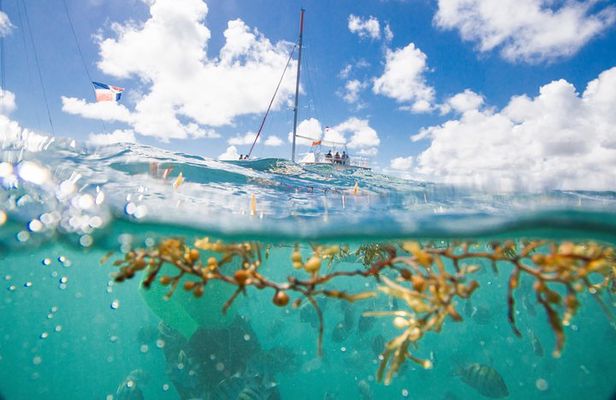 Small-Group Cruising and Snorkeling Catamaran Tour