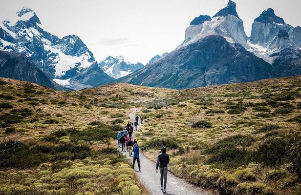 From El Calafate: Full-Day Tour to Torres del Paine