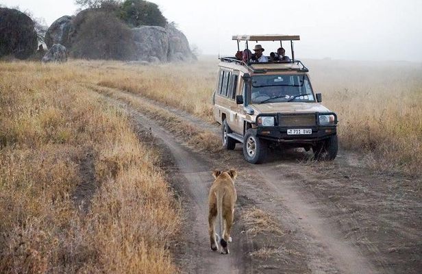 5 Days Safari In Serengeti And Ngorongoro