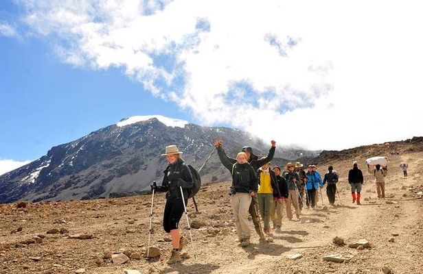 Kilimanjaro-marangu Route 6 Days Itinerary