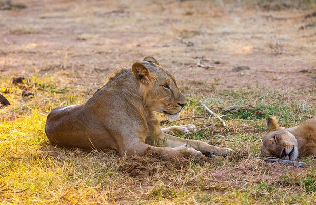 3-Day Samburu safari from Nairobi
