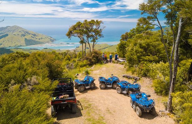 Quad Bike - Bayview Circuit