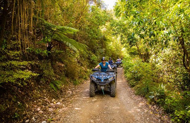 Quad Bike - Farm Forest Ride