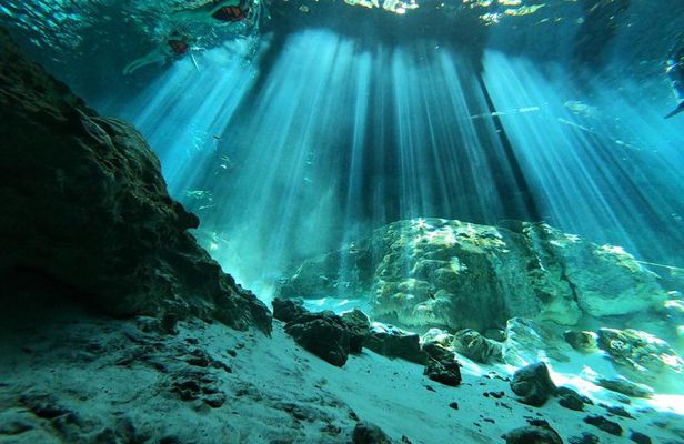 Tulum cenote diving. The real mayan underworld