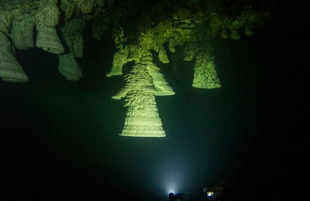 Cenotes diving Zapote and Kin Ha