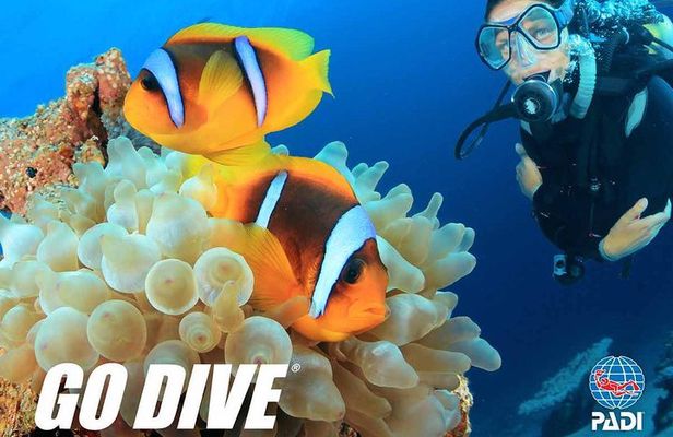 Exploration dives