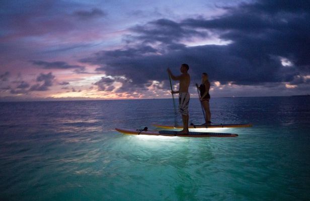 GLOW Stand Up Paddle