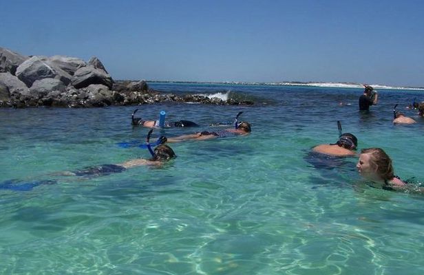 Snorkeling, Shelling & Eco Excursion from Destin