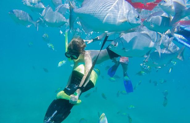 Los Cabos Power snorkel Adventure, Kayaking and Stand-Up Paddle