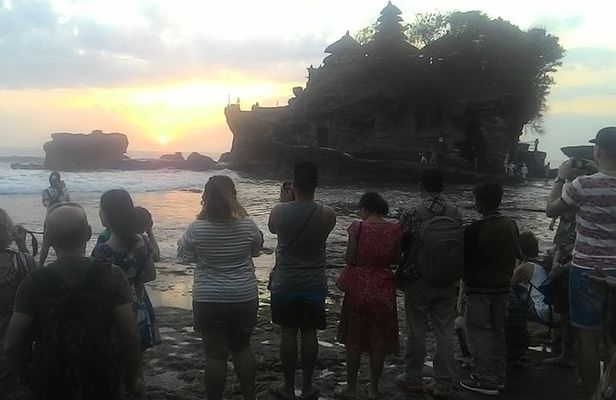 Best of Bali : Ubud, Rice terrace, Tanah lot temple with Lunch