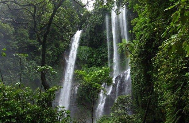 Costumize trip Sekumpul Waterfall,Wanagiri Hill Hidden & Handara Gate Heaven