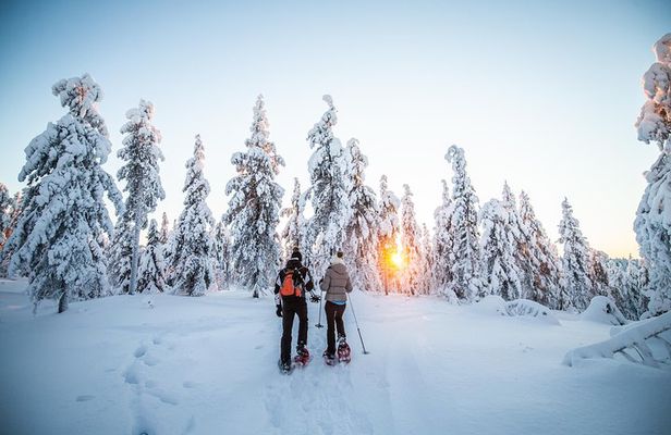 Wilderness snowshoe adventure