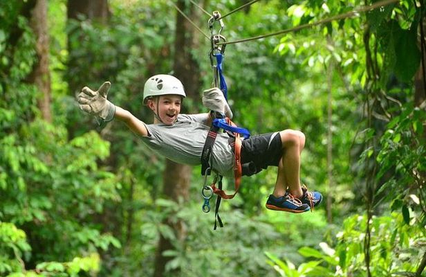 Zipline at Bocawina
