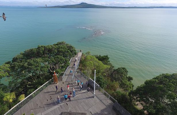 Auckland Private Tour including Airport Transfer