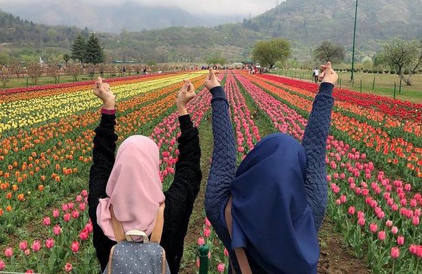 Private 4 Days Kashmir Tour Package