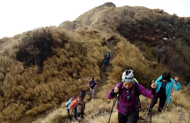 4 Days Mardi Himal Base Camp Trek from Pokhara