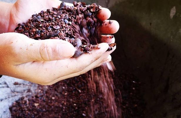 Chocolate and Coffee Tour Manuel Antonio
