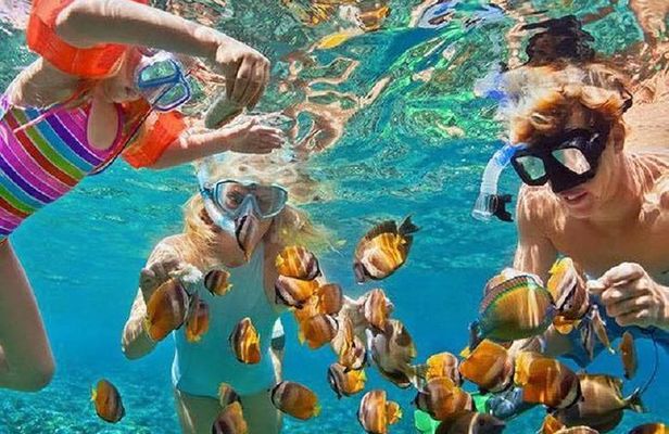 Bali Snorkeling at Blue Lagoon with Transport and Lunch