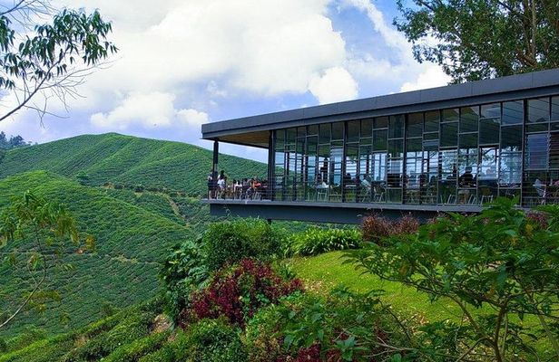 Full Day Cameron Highlands Nature Tour