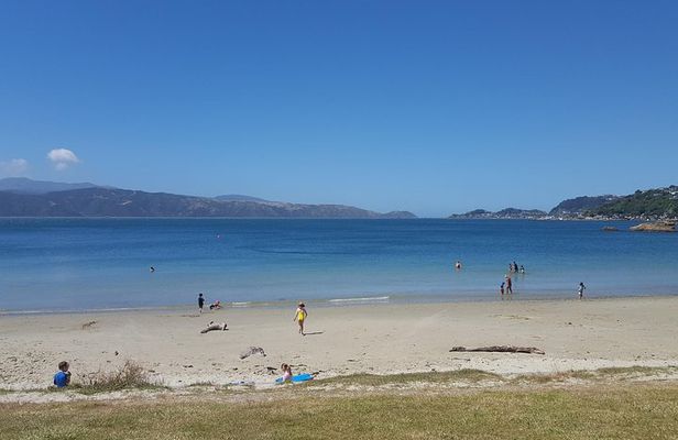 Wellington Shore Excursion: From Cave to Coast Highlights Private Tour
