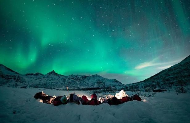 Tromsø: Aurora Hunt with Citizen Science with Wandering Owl