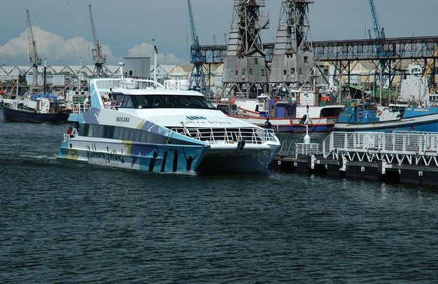Cape Town Private, Tour Robben Island Gateaway & Table Mountain Car