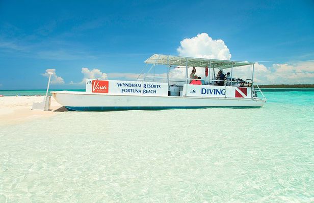 PADI Discover Scuba Diving and Day Pass in Freeport