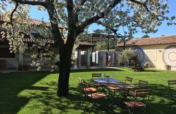 Istrian tapestry - gourmet tour combining wine, truffles and olive oil