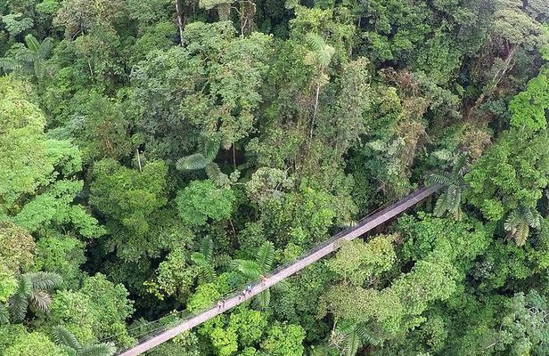ARENAL DISCOVERY ADVENTURE (3):Hanging Bridges, Waterfall & Lunch