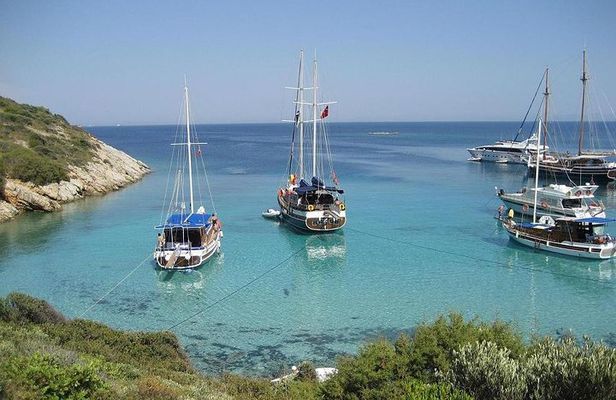 Bodrum Private Gulet Tour with Lunch