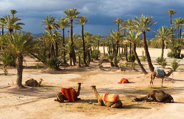 The Grand Tour Of Morocco