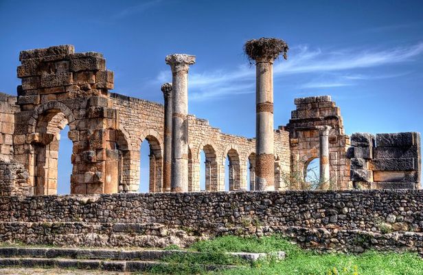 Fez to Meknes,Moulay Idriss & Volubilis Day Trip