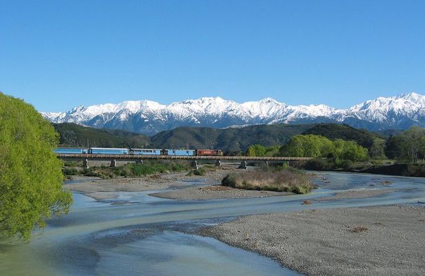 Tranz Alpine Train Tour