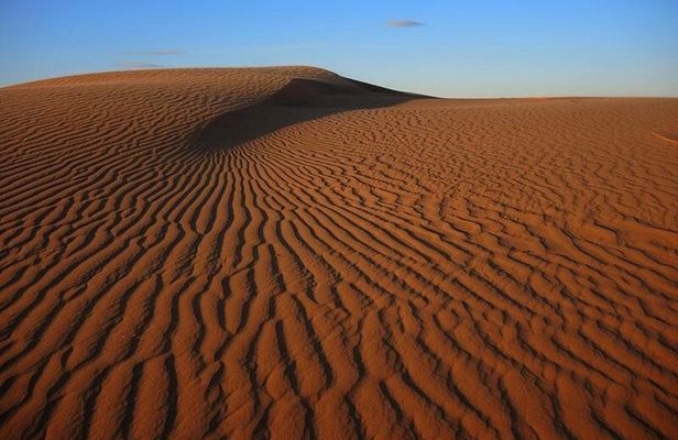 Gobi Tour May 2019 02-07 June