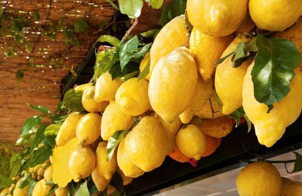 Farm-to-Table Experience: Olive Oil, Garden Tour & Nonna’s Lunch