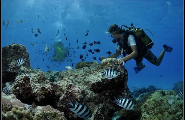 Private Tour: Underwater Scooter Bora Bora