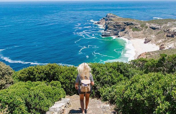 Cape Peninsula and Boulders Full Day Tour with Private Transfer